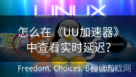 怎么在《UU加速器》中查看实时延迟？