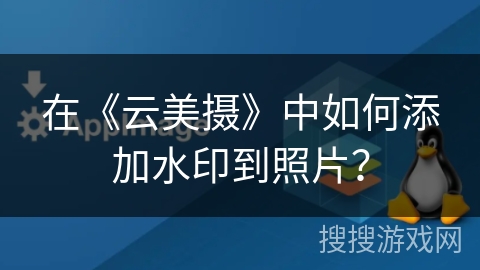 在《云美摄》中如何添加水印到照片？