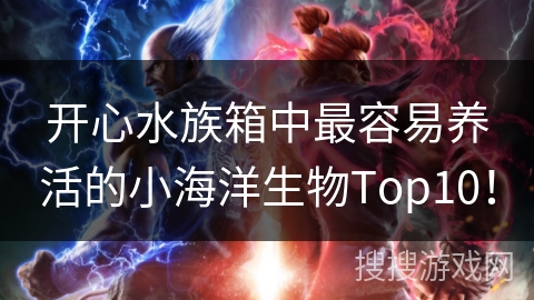 开心水族箱中最容易养活的小海洋生物Top10! 开心水族箱中最容易养活的小海洋生物Top10!