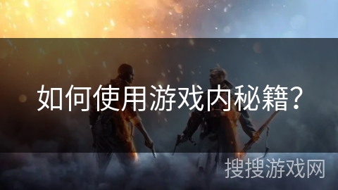 如何使用游戏内秘籍? 如何使用游戏内秘籍?