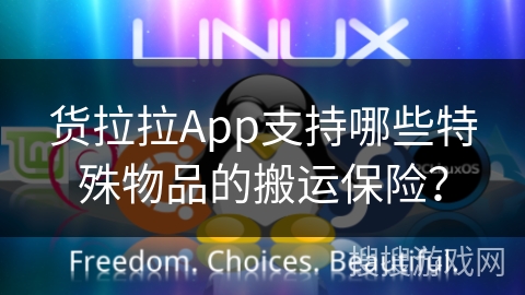 货拉拉App支持哪些特殊物品的搬运保险？