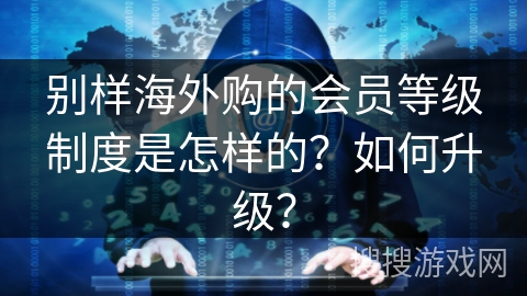 别样海外购的会员等级制度是怎样的?如何升级? 别样海外购的会员等级制度是怎样的?如何升级?