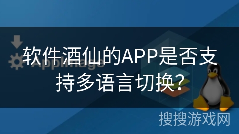 软件酒仙的APP是否支持多语言切换？