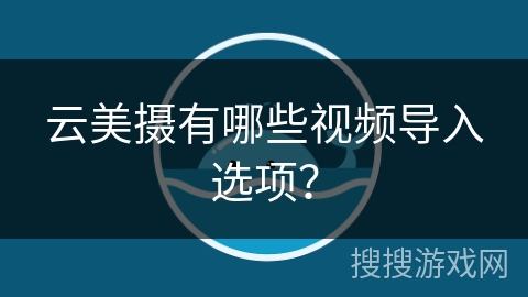 云美摄有哪些视频导入选项？