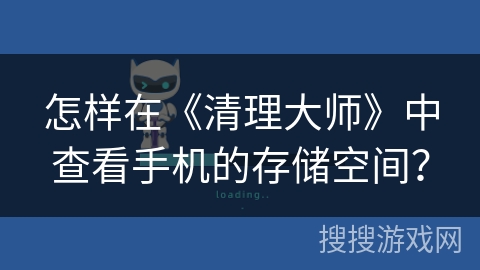 怎样在《清理大师》中查看手机的存储空间？