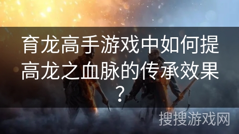 育龙高手游戏中如何提高龙之血脉的传承效果？