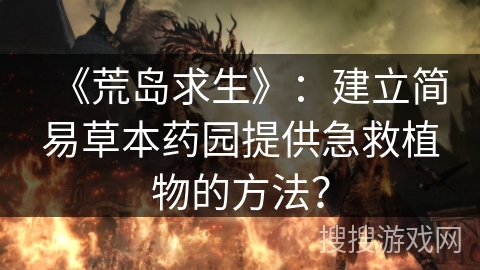 《荒岛求生》:建立简易草本药园提供急救植物的方法? 《荒岛求生》:建立简易草本药园提供急救植物的方法?