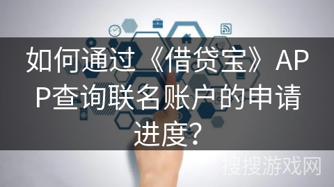 如何通过《借贷宝》APP查询联名账户的申请进度？
