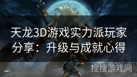 天龙3D游戏实力派玩家分享：升级与成就心得