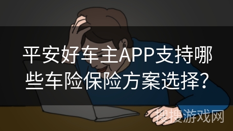 平安好车主APP支持哪些车险保险方案选择？