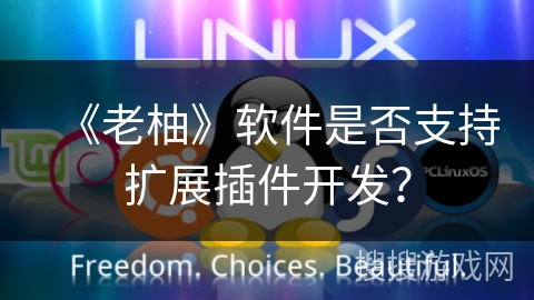 《老柚》软件是否支持扩展插件开发？