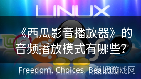 《西瓜影音播放器》的音频播放模式有哪些？