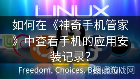 如何在《神奇手机管家》中查看手机的应用安装记录？