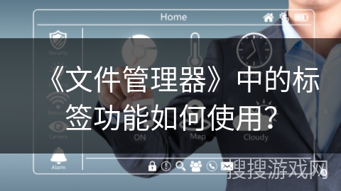 《文件管理器》中的标签功能如何使用？