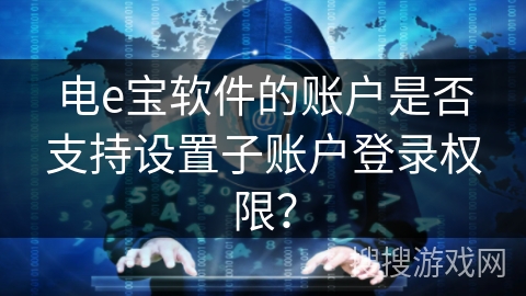 电e宝软件的账户是否支持设置子账户登录权限？