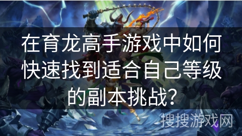在育龙高手游戏中如何快速找到适合自己等级的副本挑战？
