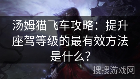 汤姆猫飞车攻略：提升座驾等级的最有效方法是什么？