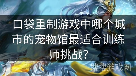 口袋重制游戏中哪个城市的宠物馆最适合训练师挑战？