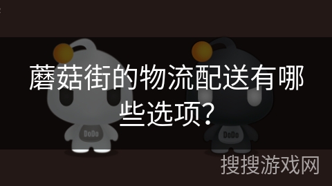 蘑菇街的物流配送有哪些选项？