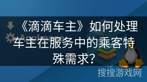 《滴滴车主》如何处理车主在服务中的乘客特殊需求? 《滴滴车主》如何处理车主在服务中的乘客特殊需求?