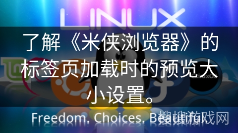 了解《米侠浏览器》的标签页加载时的预览大小设置。