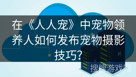 在《人人宠》中宠物领养人如何发布宠物摄影技巧? 在《人人宠》中宠物领养人如何发布宠物摄影技巧?