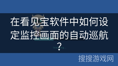 在看见宝软件中如何设定监控画面的自动巡航？