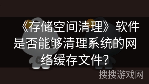 《存储空间清理》软件是否能够清理系统的网络缓存文件？