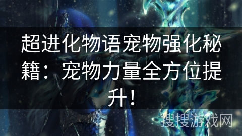 超进化物语宠物强化秘籍：宠物力量全方位提升！