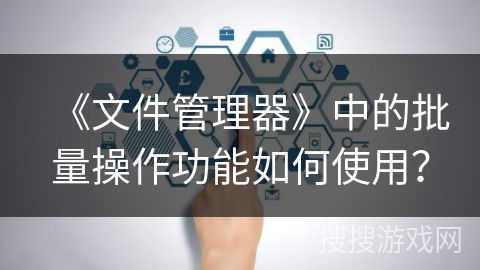 《文件管理器》中的批量操作功能如何使用？