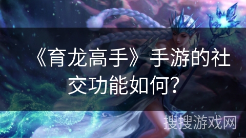 《育龙高手》手游的社交功能如何？