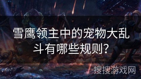 雪鹰领主中的宠物大乱斗有哪些规则? 雪鹰领主中的宠物大乱斗有哪些规则?