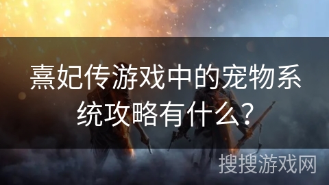 熹妃传游戏中的宠物系统攻略有什么？