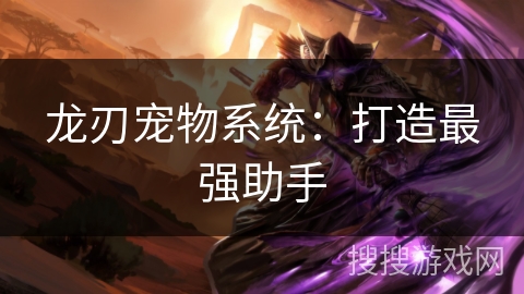 龙刃宠物系统：打造最强助手