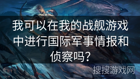 我可以在我的战舰游戏中进行国际军事情报和侦察吗？
