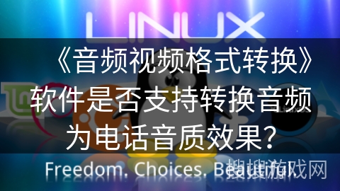《音频视频格式转换》软件是否支持转换音频为电话音质效果？