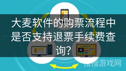 大麦软件的购票流程中是否支持退票手续费查询？