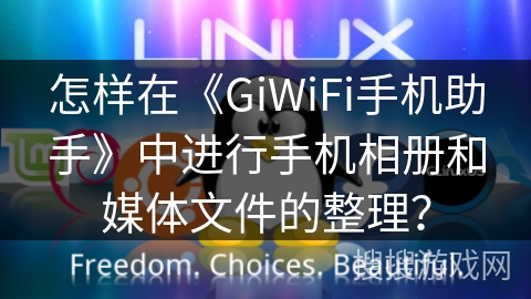 怎样在《GiWiFi手机助手》中进行手机相册和媒体文件的整理？