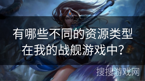 有哪些不同的资源类型在我的战舰游戏中？