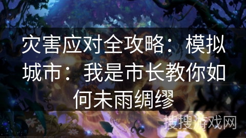 灾害应对全攻略：模拟城市：我是市长教你如何未雨绸缪