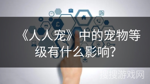 《人人宠》中的宠物等级有什么影响？