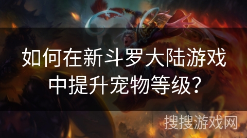 如何在新斗罗大陆游戏中提升宠物等级？