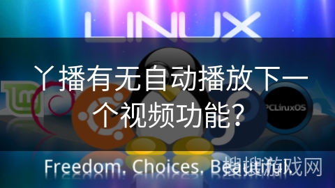 丫播有无自动播放下一个视频功能？