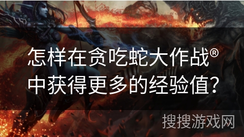 怎样在贪吃蛇大作战®中获得更多的经验值？