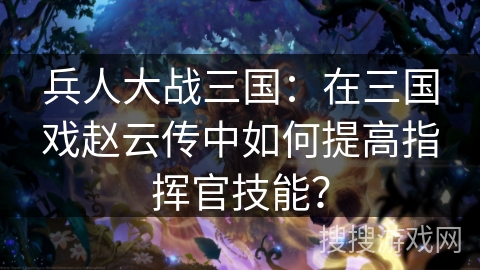 兵人大战三国：在三国戏赵云传中如何提高指挥官技能？