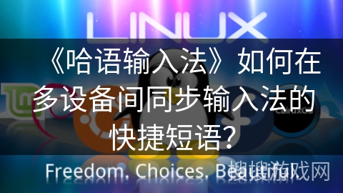 《哈语输入法》如何在多设备间同步输入法的快捷短语？