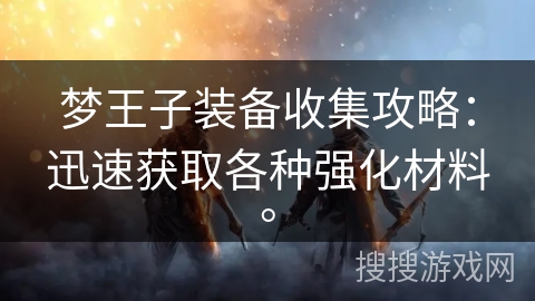 梦王子装备收集攻略：迅速获取各种强化材料。
