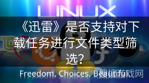 《迅雷》是否支持对下载任务进行文件类型筛选？