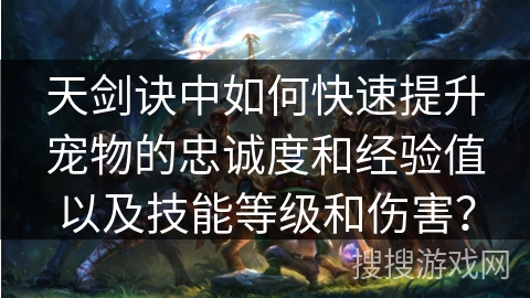 天剑诀中如何快速提升宠物的忠诚度和经验值以及技能等级和伤害？