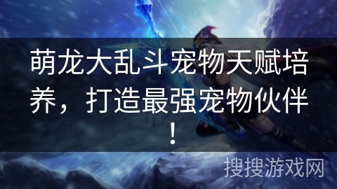 萌龙大乱斗宠物天赋培养，打造最强宠物伙伴！